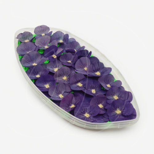 Виола обезвоженная "Голубая жемчужина" Объёмная 15 шт 