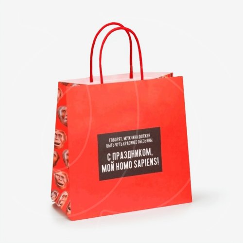 Пакет бумажный "Обезьяна" 22х11х22 см 7980134
