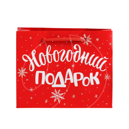 Пакет бумажный "Новогодний подарок" 5,5х15х12 см 4262325